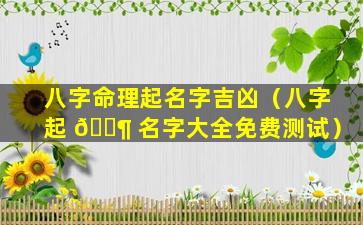 八字命理起名字吉凶（八字起 🐶 名字大全免费测试）